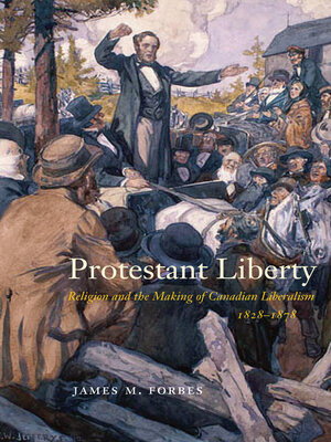 cover image of Protestant Liberty